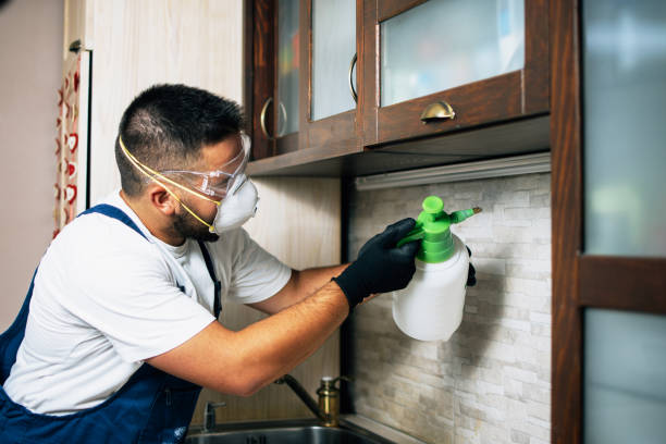 Best Commercial Pest Control Services  in Benton, TN