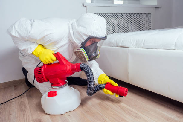 Best Rat Extermination Near Me  in Benton, TN