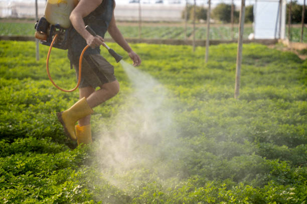Best Mosquito Control Services  in Benton, TN