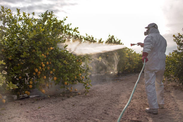 Best Exterminator Services  in Benton, TN