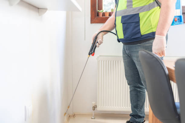 Best Wasp Removal Services  in Benton, TN
