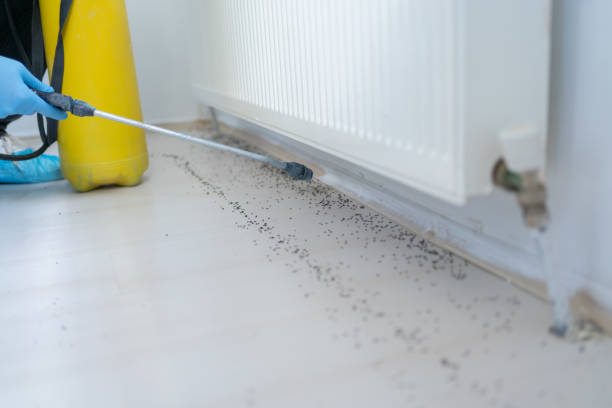 Best Best Pest Control Companies  in Benton, TN
