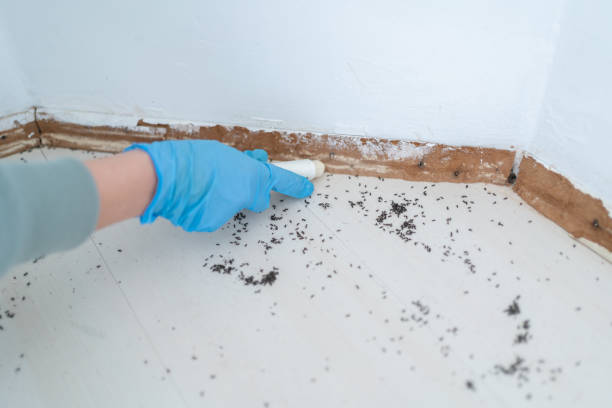 Pest Control Cost in Benton, TN