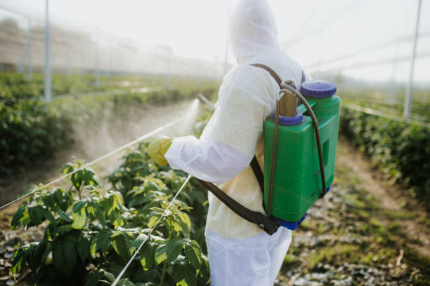 Best Best Pest Control Companies  in Benton, TN